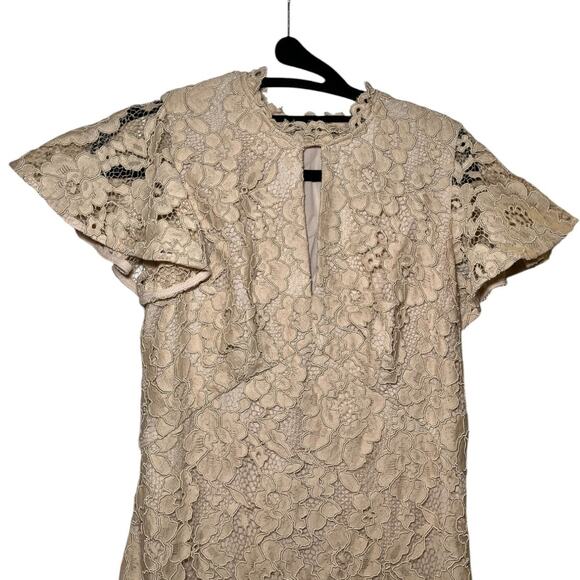 Soshanna Midnight Ruffled Sleeve High Low Lace Maxi Dress Tan Ivory Size 4 - Picture 5 of 7